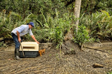 CVC liberó más de 80 animales en Isla Ají, en el pacífico vallecaucano