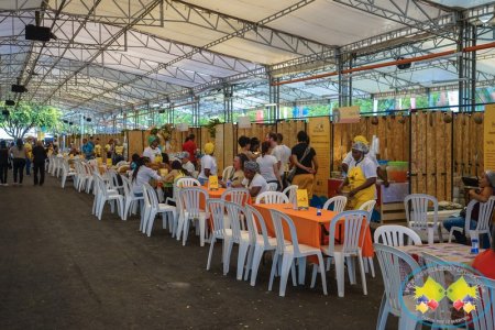 Listos los expositores seleccionados de las regiones para las Muestras de Expresiones Tradicionales del Festival Petronio Álvarez 2019