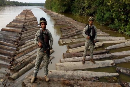 La Armada Nacional incautó madera ilegal