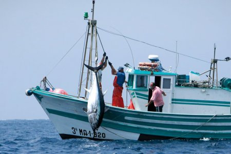 Aunap participa de Tercer Simulacro de Pesca Ilegal e Ilícita en el Pacífico