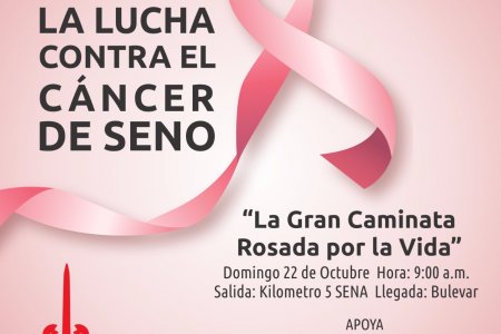 El domingo 22 de octubre se realizará la Gran Caminata Rosada por la Vida