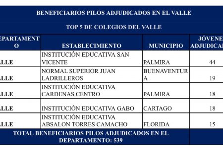 Antioquia, Santander, Atlántico, Valle y Nari&ntilde;o, los departamentos con más 'pilos' en la cuarta convocatoria
