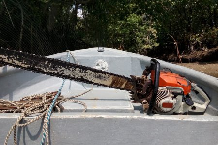 CVC incautó motosierras a cortadores de mangle