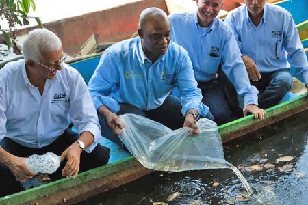 La riqueza ambiental de Colombia está hoy más protegida que nunca