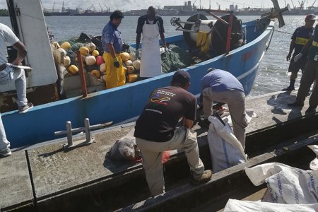 Incautada una tonelada de pesca ilegal