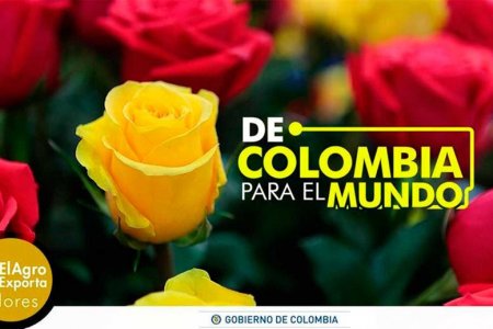 Flores colombianas enamoraron al mundo en la fiesta de San Valentín