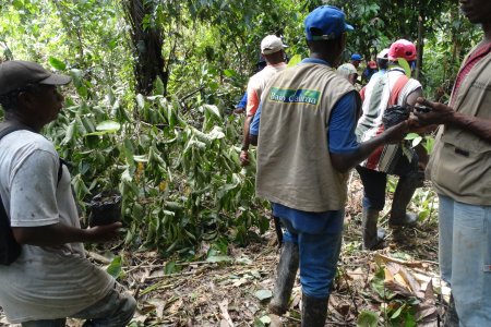 El corregimiento del Bajo Calima fue escogido como uno de los 'Núcleos Forestales' de Colombia