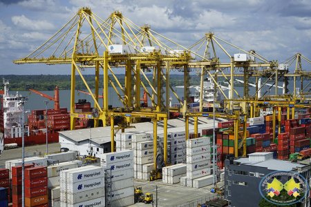 El Gobierno nacional simplifica la nacionalización de mercancías