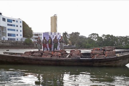 La Armada Nacional incautó más de 930 metros cúbicos de madera ilegal en diferentes operativos en el pacífico