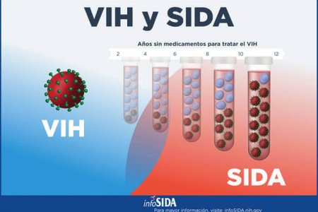 Los casos de mortalidad del VIH Sida disminuyeron aproximadamente un 10 %: Secretaría de Salud