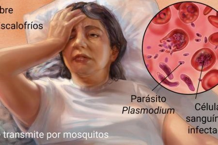 Casos de malaria se incrementaron en el corregimiento de Córdoba