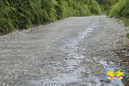 Ya está abierta licitación para contratar pavimentación de la carretera Simón Bolívar