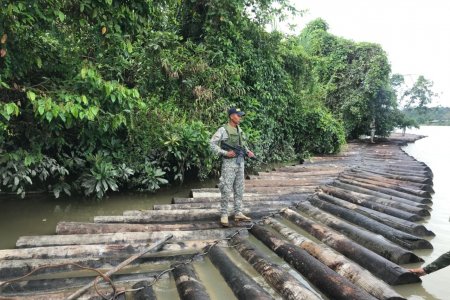2.038 piezas de madera taladas y transportadas ilegalmente fueron incautadas por la Armada Nacional