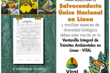 Avanza la implementación del Salvoconducto Único en Línea