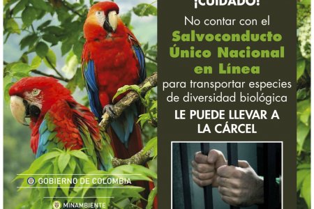 El EPA consiguió salvoconductos en gestiones realizadas ante la CVC
