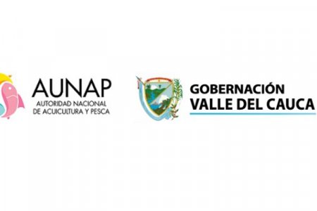 El Valle le apuesta a la producción de peces ornamentales en Buenaventura
