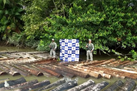 La Armada Nacional incautó 1.192 metros cúbicos de madera ilegal transportada por vía fluvial y terrestre