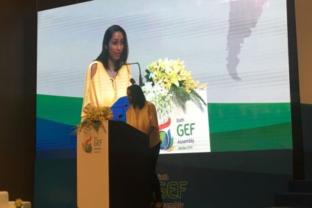 Colombia logra 52 millones de dólares del Fondo Mundial para el Medio Ambiente