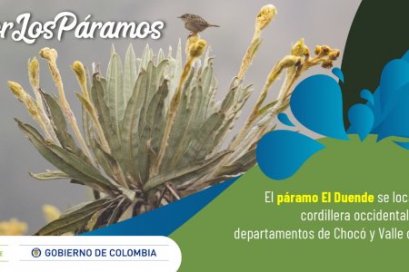El Gobierno nacional entregó todos los 37 complejos de páramos del país protegidos