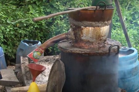 La Gobernación del Valle del Cauca impulsa formalización e internacionalización del viche del Pacífico colombiano