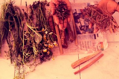 Taller de medicina tradicional en el pacífico colombiano y uso de plantas medicinales