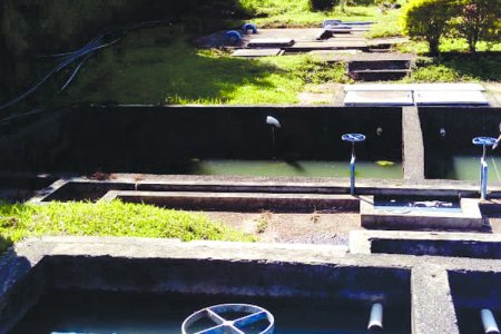 El Valle logró certificar todos sus municipios en manejo de agua potable y saneamiento básico