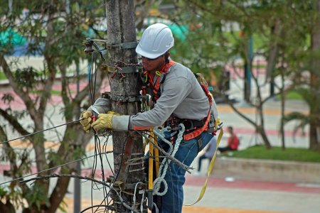 Celsia sigue haciendo mantenimiento a las redes para garantizar el servicio a sus clientes y evitar fallas