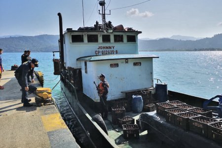 La Armada Nacional incautó más de 3 mil millones de pesos en mercancía de contrabando