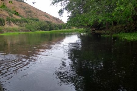 $ 3.500 millones está invirtiendo la CVC en mantenimiento a los humedales del Valle del Cauca