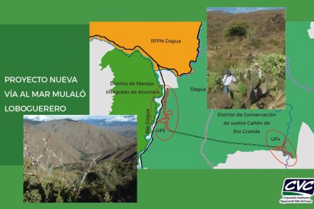 Consejo Directivo de la CVC da viabilidad para sustracción de área protegida para permitir la construcción de la vía Mulaló-Loboguerrero