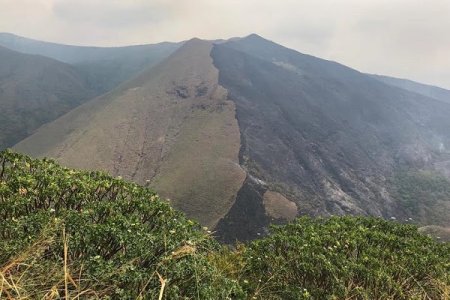Controlado incendio forestal en zona rural de Cali luego de 48 horas