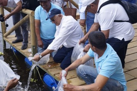 CVC y Fuerza Aérea llevarán 30 mil bocachicos al río Cauca para contribuir con emergencia ambiental por Hidroituango