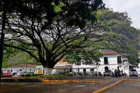 #Valle La CVC más cerca de los vije&ntilde;os