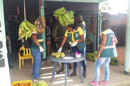 Diversas entidades tomaron medidas para evitar comercialización y consumos de peras que fueron desechadas en el botadero de Córdoba