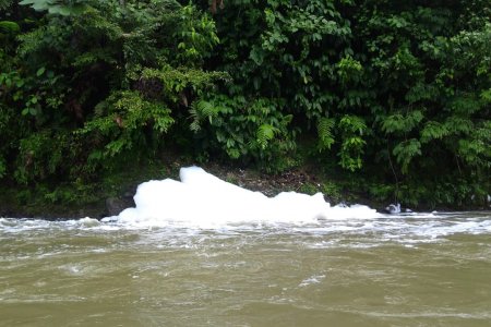 La CVC suspendió lavadero ilegal que produjo una espuma que provocó la muerte de peces en el río Dagua