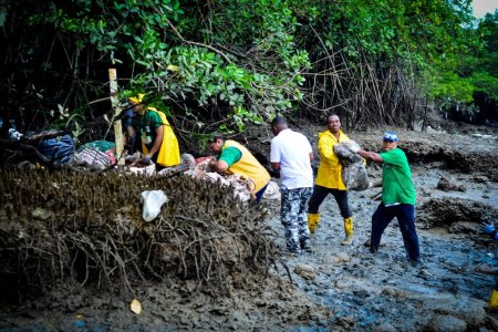 La campa&ntilde;a Buenaventura Limpia y Bonita recogió aproximadamente 600 kilos de residuos sólidos en el estero El Aguacate