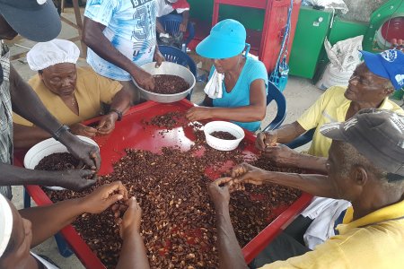 Fundación Puerto Aguadulce - Compas continúa sembrando oportunidades para la comunidad
