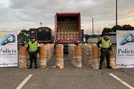 La Policía Fiscal y Aduanera aprehendió más de 15 toneladas de canela