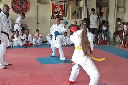 Buenaventura y Palmira realizaron intercambio de karate