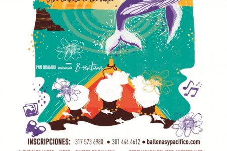 Buscan declarar como patrimonio inmaterial de la nación el canto de las ballenas