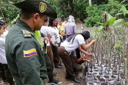Material forestal es producido por estudiantes en Dagua