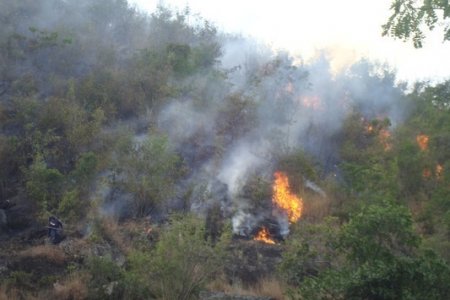Monitorean temporada seca en el Valle del Cauca ante posibles incendios forestales