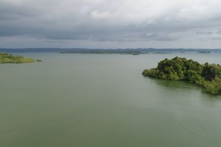 Crean registro para prestadores de servicios asociados al ecoturismo