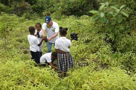 Niños de La Brea quieren salvar la quebrada El Pozo en Buenaventura