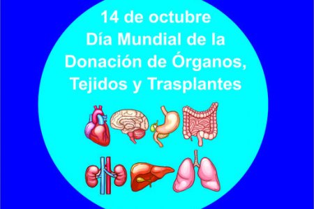 Llamado a la sensibilidad de los vallecaucanos a que donen órganos y tejidos para trasplantes