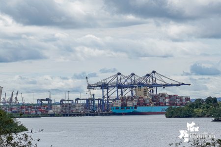 La Supertransporte abrió investigación contra la Sociedad Portuaria Terminal de Contendedores de Buenaventura S.A.