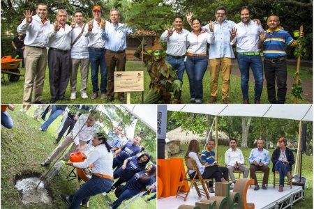 ReverdeC no para de sembrar: van 4 millones de árboles en las cuencas hidrográficas del Valle