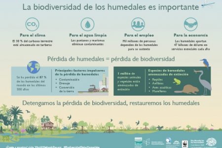 El Ministerio de Ambiente avanza en la conservación y gestión sostenible de los humedales del país