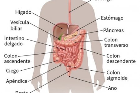 El cáncer de estómago, un huésped silencioso de mucho cuidado