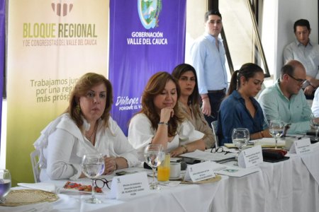 El Valle del Cauca unido ante el Gobierno nacional, sustentó la necesidad de sus obras